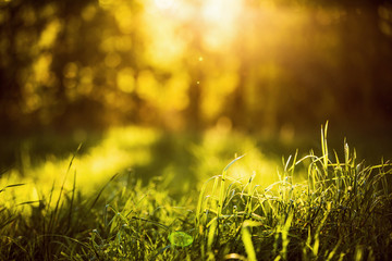 Natural background bokeh effect