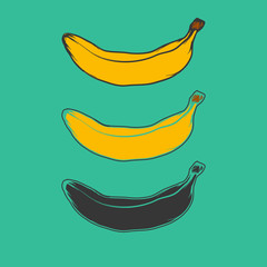 Sticker - Banana, fruit vector illustration