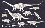 Set of silhouettes of dinosaurs and fossils. Hand drawn vector illustration with decorative lettering of dinosaurs names. Man and children, comparison of realistic size, separated elements.
