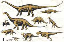 Set Of Silhouettes Of Skeletons Of Dinosaurs And Fossils. Hand Drawn Vector Illustration. Silhouettes Of Man And Children, Comparison Of Sizes, Realistic Size, Separated Elements.