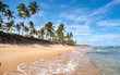 © Fernando Ghelfi - Praia do Forte (Brasil)