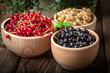 Wall Mural - Redcurrant, blackcurrant, white currant fruit.