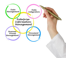 Enterprise Information Management