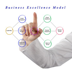 Wall Mural - Business Excellence Model