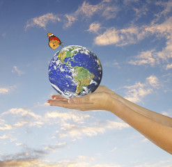 Wall Mural - Butterfly sitting on Earth.Elements of this image furnished by N