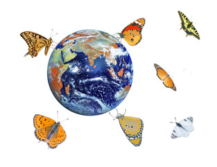Wall Mural - Butterfly on planet Earth.Elements of this image furnished by NA