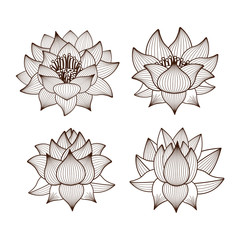 Poster - lotus flowers drawing isolated icon design, vector illustration  graphic 