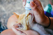 Veterinärmedizin/Kleine Katze bekommt Medizin