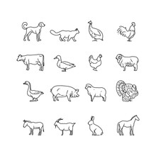 Farm Animals Vector Thin Line Icons Set. Outline Cow, Pig, Chicken, Horse, Rabbit, Goat, Donkey, Sheep, Geese Symbols. Set Of Farm Animal Illustration Pictogram Animal In Line Style