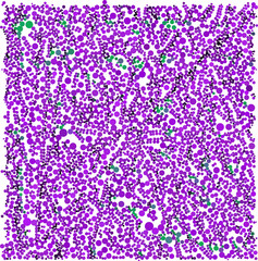 Aufkleber - Purple green dot on white beautiful background
