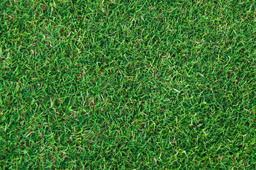 Football field green grass pattern textured background , textured grass for background