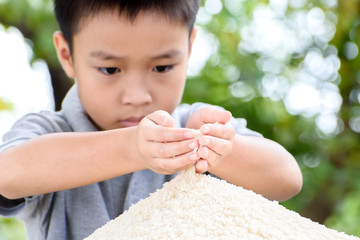 Wall Mural - Jasmine rice in kid hand