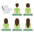 © DruZhi Art - Hair length chart back view, 5 different hair lengths. Vector.