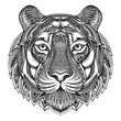 Hand drawn graphic ornate tiger