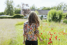 Woman Picking Poppy Flowers Growing On Grassy Field
