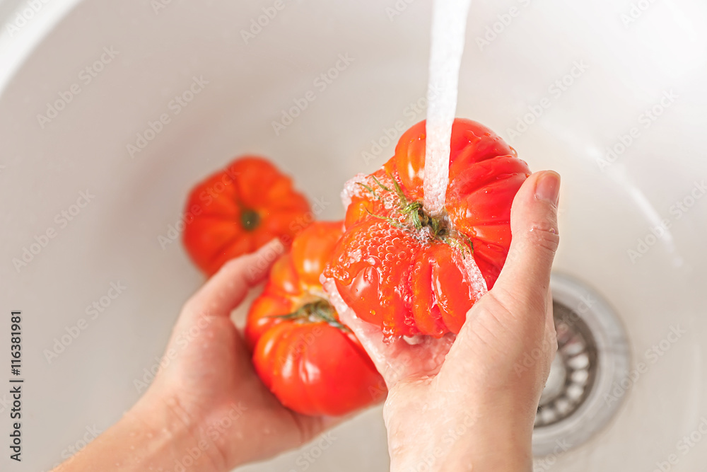 Female hands washing tomatoes in kitchen sink