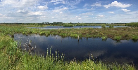torfmoor im panorama