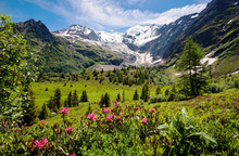Amazing Panorama Of French Apls, Part Of Famous Trekk - Tour Du Mont Blanc