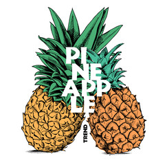 Wall Mural - The image of the two pineapple together. Vector illustration.