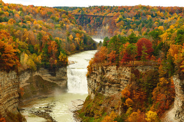 Wall Mural - Autumn scene of waterfalls and gorge
