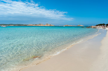 Wall Mural - Sardegna, spiaggia rosa di Budelli