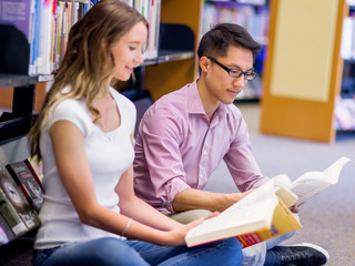 Wall Mural - Two young students at the library