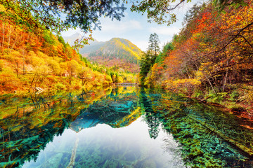 Sticker - Wonderful view of the Five Flower Lake among fall woods