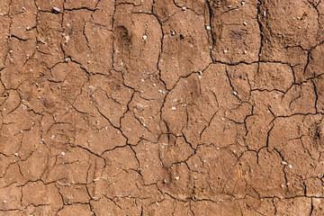 Wall Mural - cracked earth close up