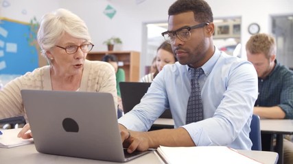 Wall Mural - Teacher and student using laptop at an adult education class