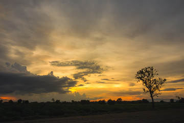 Wall Mural - evening at countryside