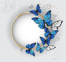 Round Banner With Blue Butterflies Morpho