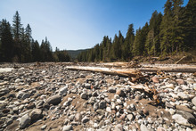 View Of Dry Riverbed In Spring Near The Rainier Mountain.