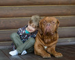 © Ermolaev Alexandr - Little boy embracing big Bordeaux dog