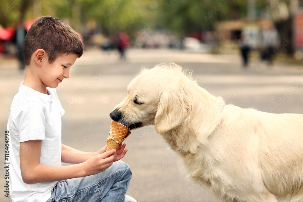 Small boy feeding ice-cream cute dog on street