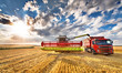 Combine harvester in action on wheat field, unloading grains