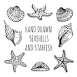 Vector set: Seashells, Starfish, marine life. Hand drawn sketch on  white background