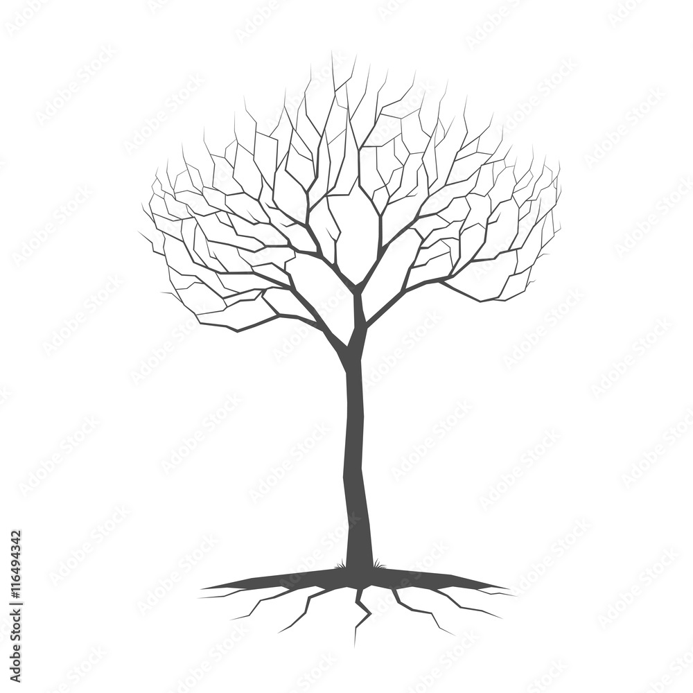 Without Roots Tree Tample Silhouette of a tree without leaves and with roots on white background ...