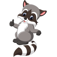 Poster - cute raccoon cartoon