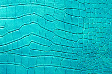 Pattern Of Green Crocodile Skin.
