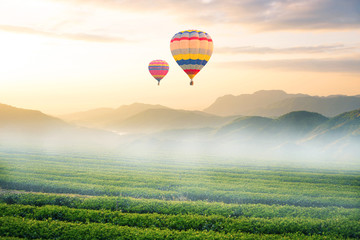 balloon with landscape view and sunrise time