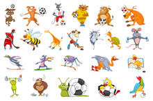 Vector Set Of Animals Sport Illustrations.