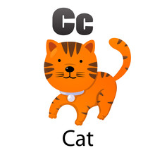 Alphabet Letter C-Cat