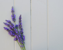 Sprig Of Lavender On A White Wooden Background
