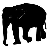 Fototapeta Dinusie - Elephant silhouette