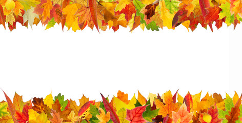 Wall Mural - Colorful autumn different leaves frame, isolated on white background.