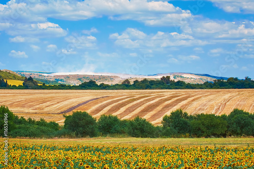 Fotomural Agricultural Fields in Bulgaria