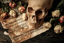 Skull, Dry Roses And Music Notes. Vintage Background