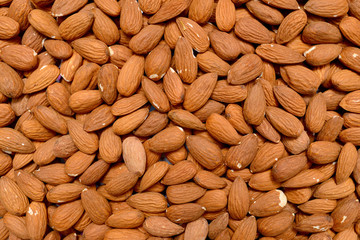 Wall Mural - almonds seeds texture