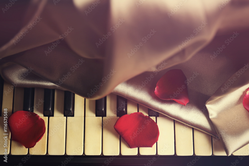 Petals of rose on piano keys