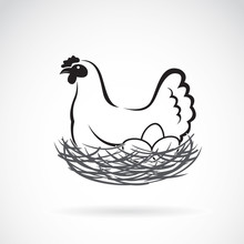 Vector Of A Hen Laying Eggs In Its Nest.  Animals.